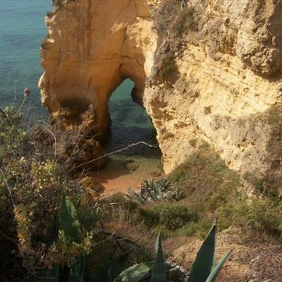 万博体育APP网址